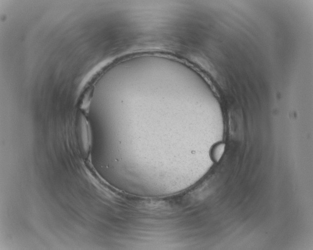 X0000070371452200606301844