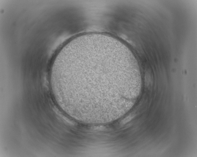 X0000070371454200606301844