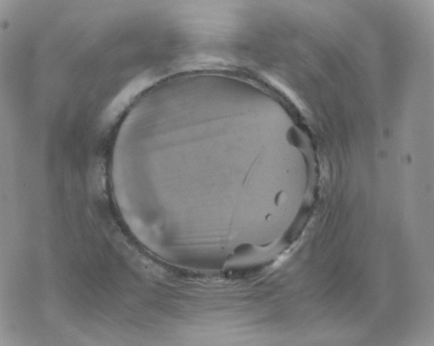 X0000070371455200606301844