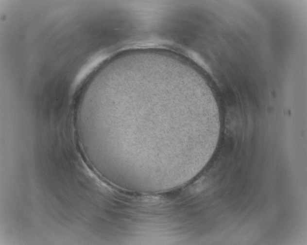 X0000070371456200606301844