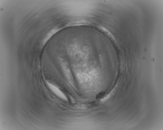 X0000070371457200606301844