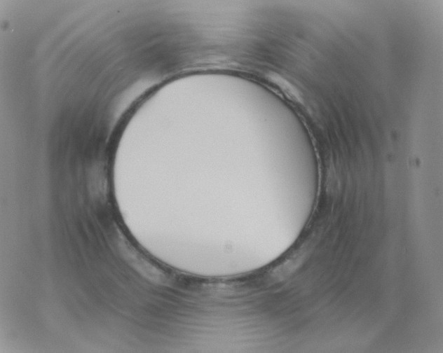 X0000070371458200606301844