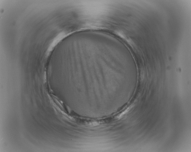 X0000070371459200606301844