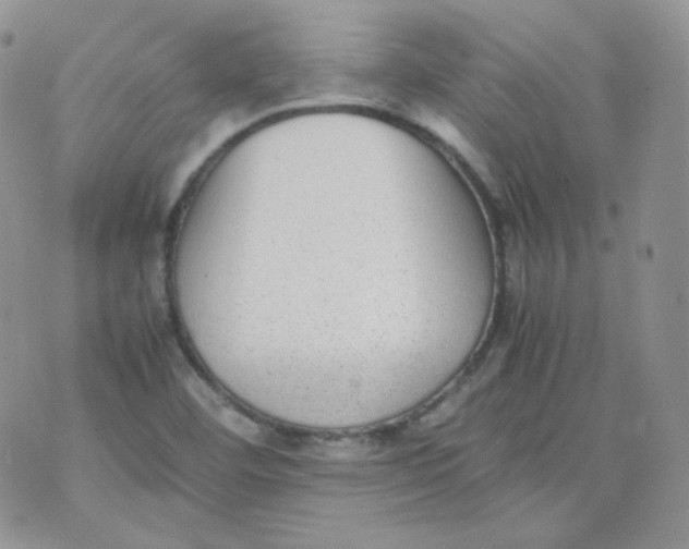 X0000070371460200606301844