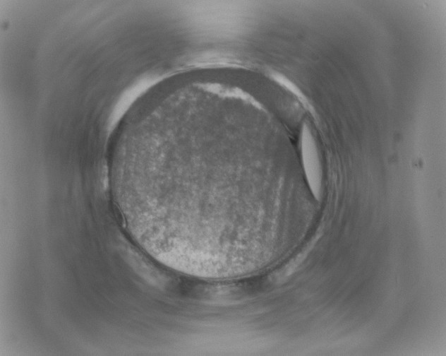 X0000070371461200606301844