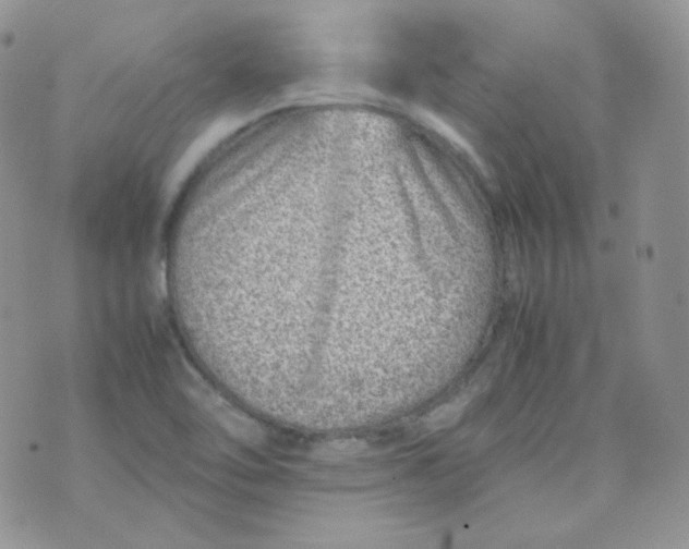 X0000070371462200606301844