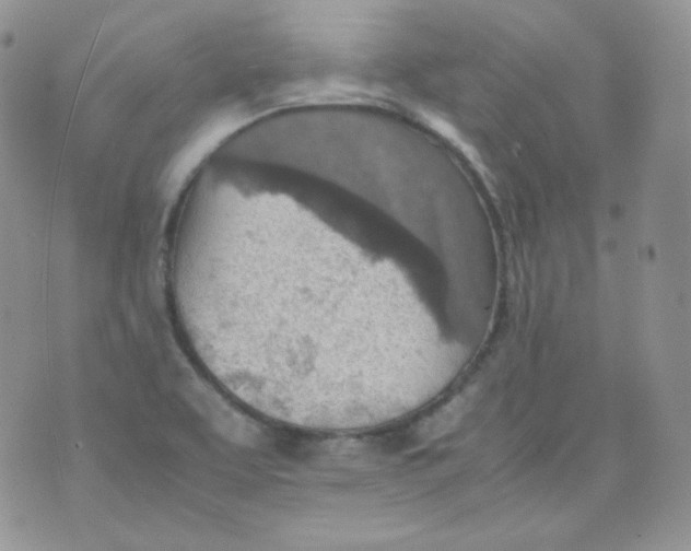 X0000070371463200606301844