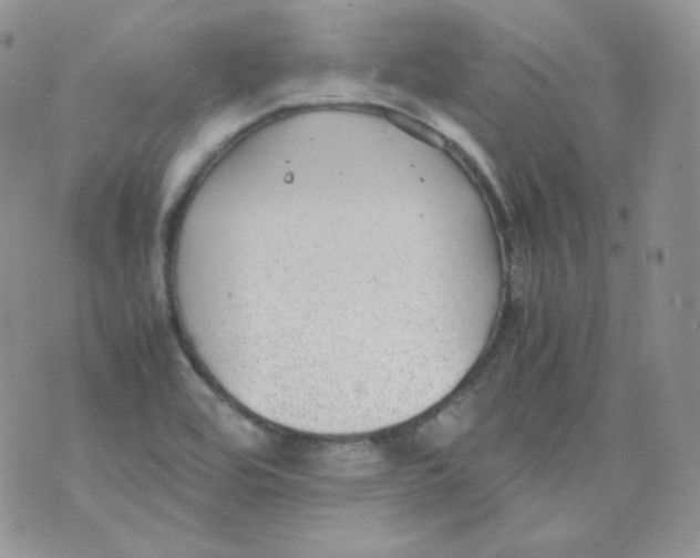 X0000070371464200606301844