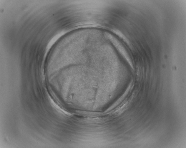 X0000070371466200606301844