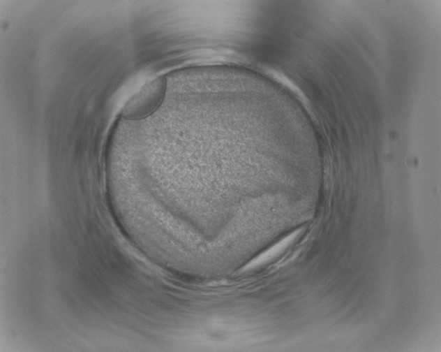 X0000070371467200606301844