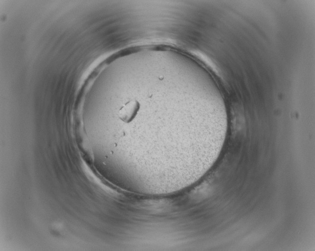 X0000070371468200606301844