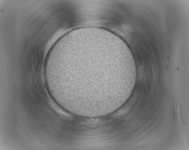 X0000070371470200606301844