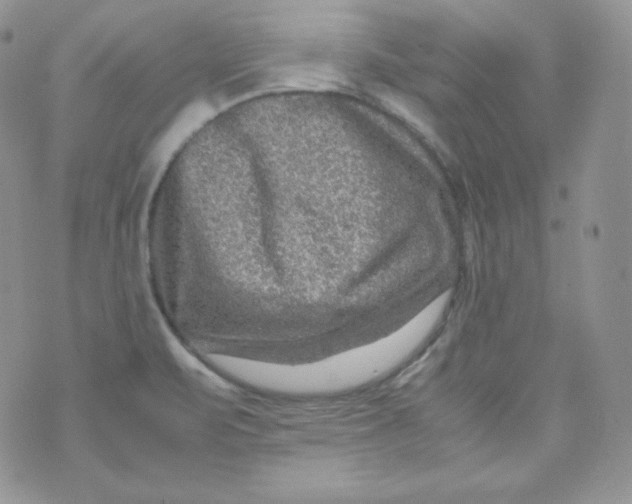 X0000070371471200606301844