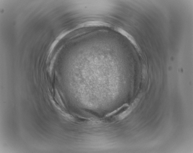 X0000070371473200606301844