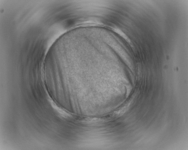 X0000070371474200606301844