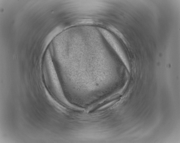 X0000070371475200606301844