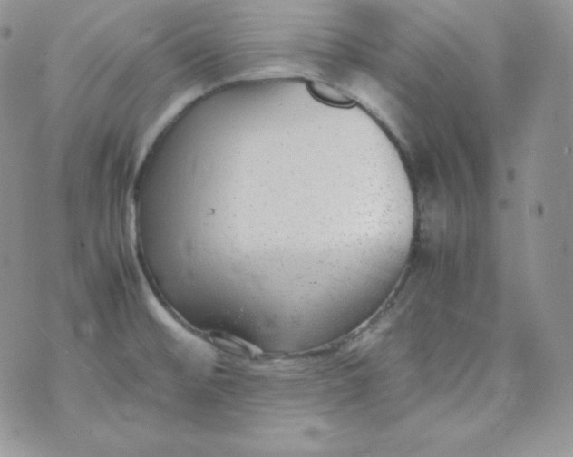 X0000070371476200606301844