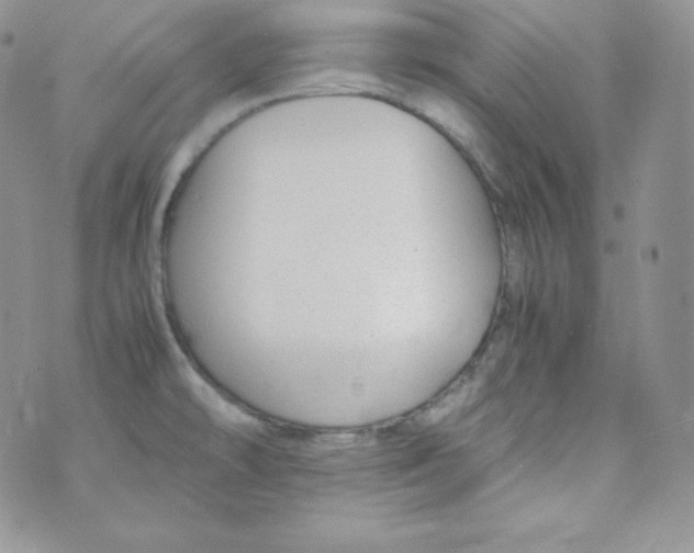 X0000070371478200606301844