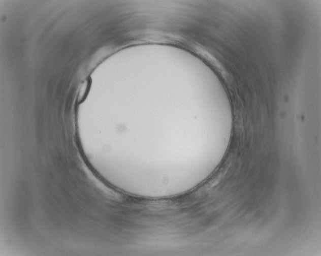 X0000070371479200606301844