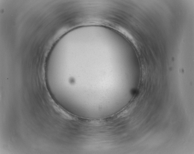 X0000070371480200606301844