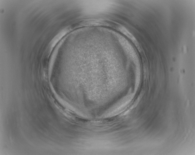 X0000070371481200606301844