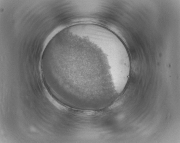 X0000070371482200606301844