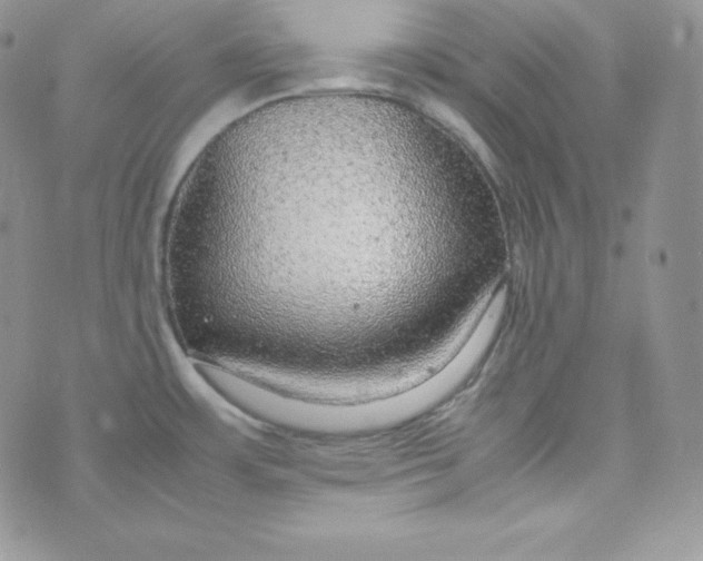 X0000070371483200606301844