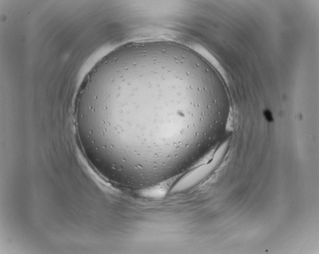 X0000070371485200606301844