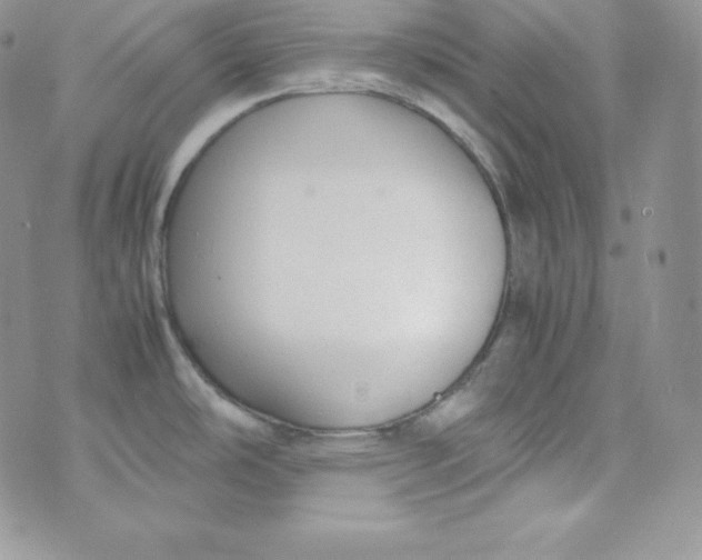 X0000070371486200606301844