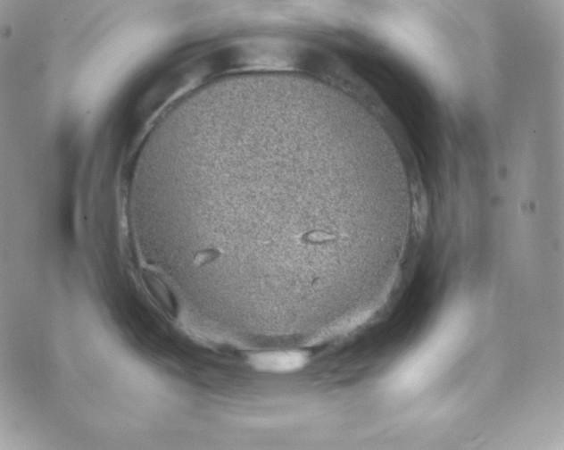 X0000070371487200606301844