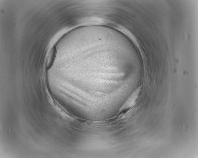 X0000070371488200606301844