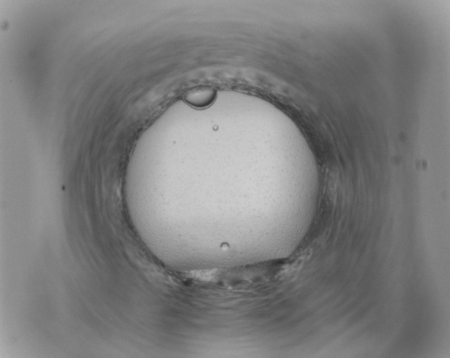 X0000070371489200606301843