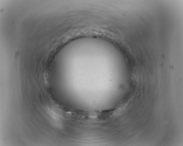 X0000070371490200606301843