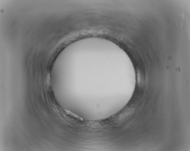 X0000070371492200606301843