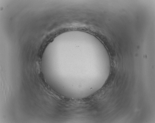 X0000070371493200606301843