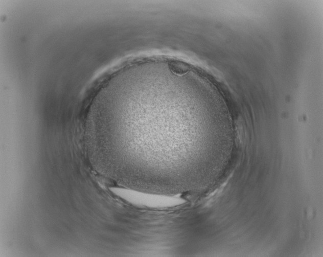 X0000070371494200606301843