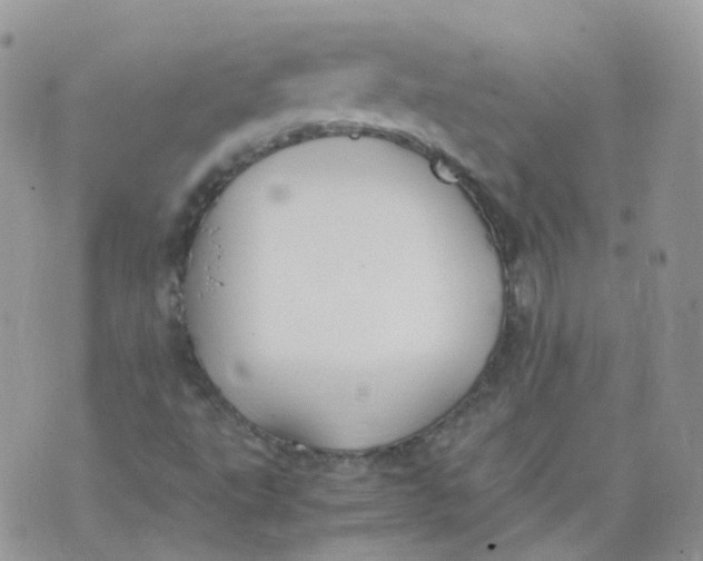 X0000070371495200606301843