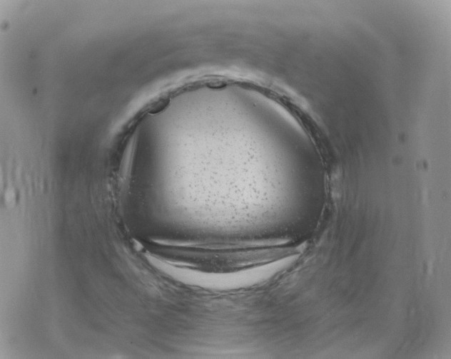 X0000070371496200606301843