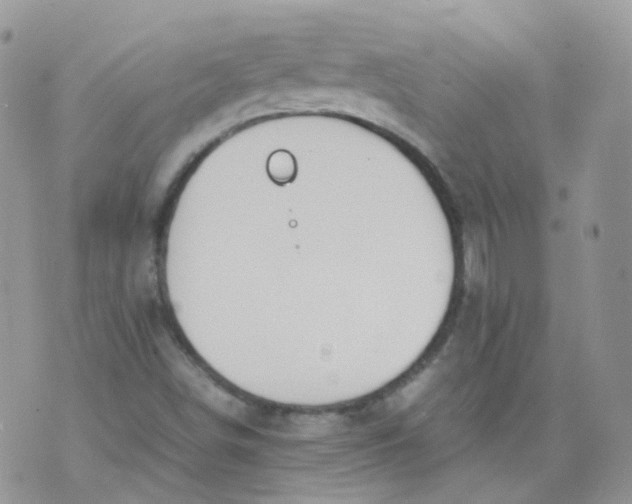 X0000070371498200606301843