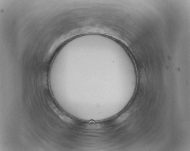 X0000070371499200606301843