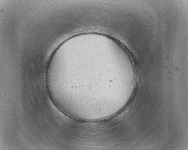 X0000070371500200606301843