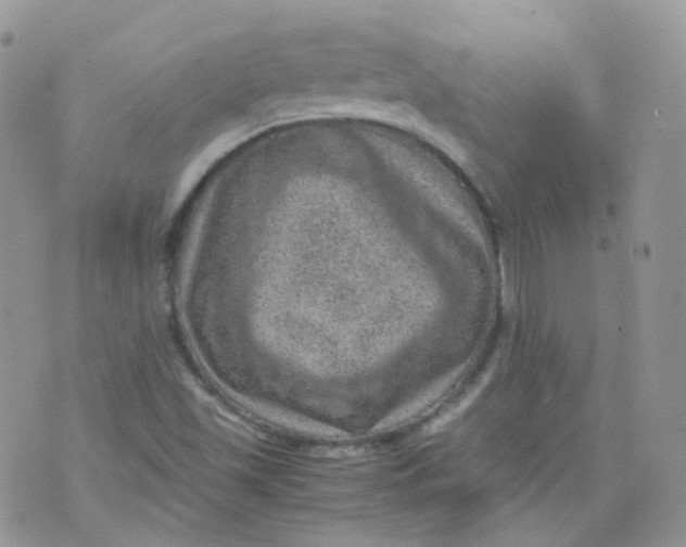 X0000070371501200606301843