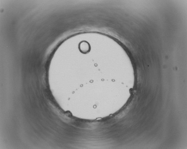 X0000070371502200606301843