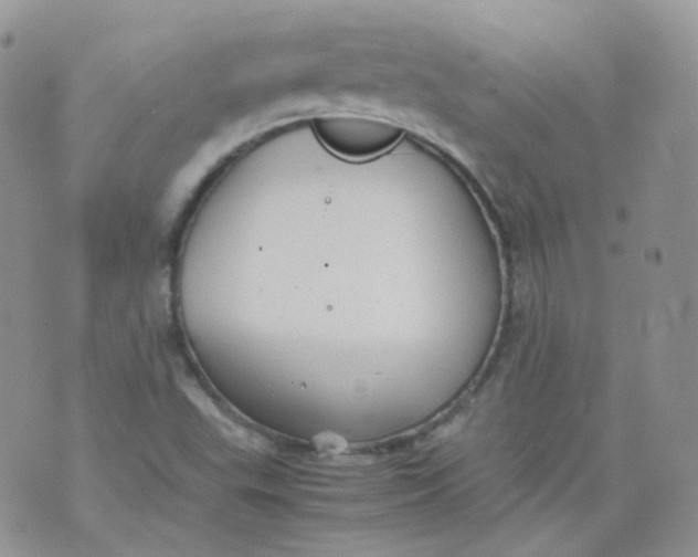 X0000070371503200606301843