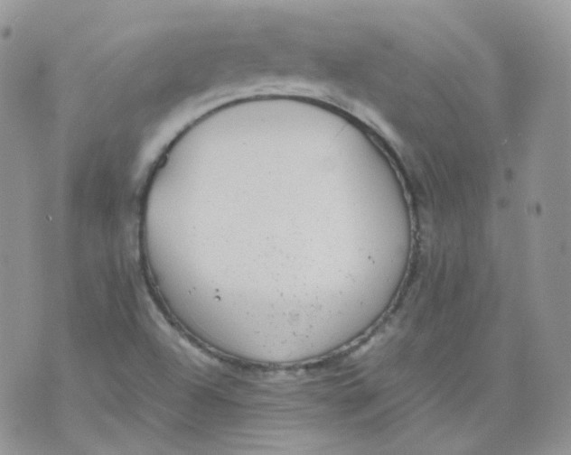 X0000070371504200606301843