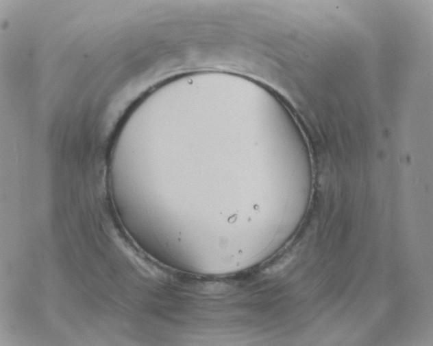 X0000070371507200606301843