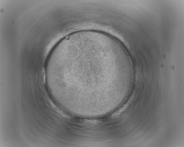 X0000070371509200606301843