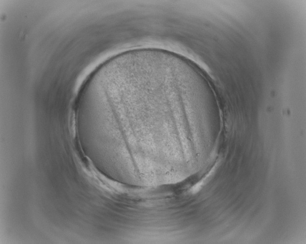 X0000070371510200606301843