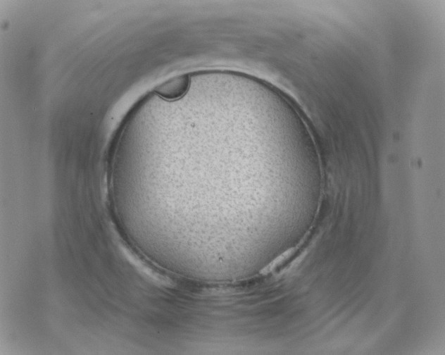 X0000070371511200606301843