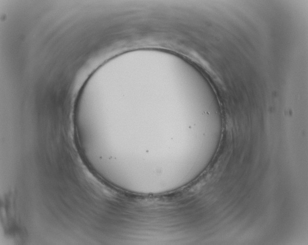 X0000070371512200606301843